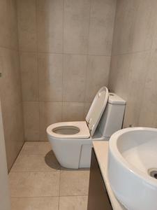 Common Bathroom Image of 3350 Sq.ft 4 BHK Apartment / Flat for sale in Panchshil One North, Magarpatta City Pune for Rs. 52700000