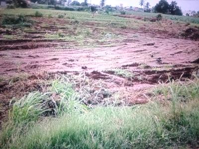 Image of 1089 Sq.ft Residential Plot / Land for sale in Panvel, Navi Mumbai for Rs. 392000