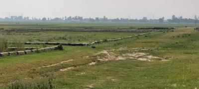Image of 1500 Sq.ft Residential Plot / Land for sale in Maniram, Gorakhpur for Rs. 1051500