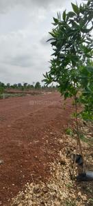Image of 2500 Sq.ft Residential Plot / Land for sale in Amleshwar, Raipur for Rs. 1802500
