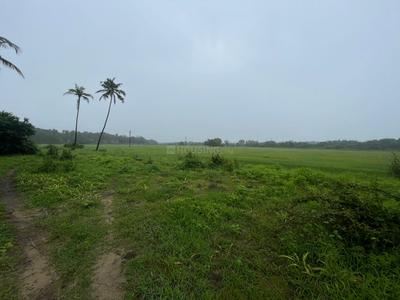 Residential Plot