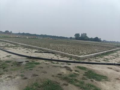 Image of 1000 Sq.ft Residential Plot / Land for sale in Amausi, Lucknow for Rs. 1700000
