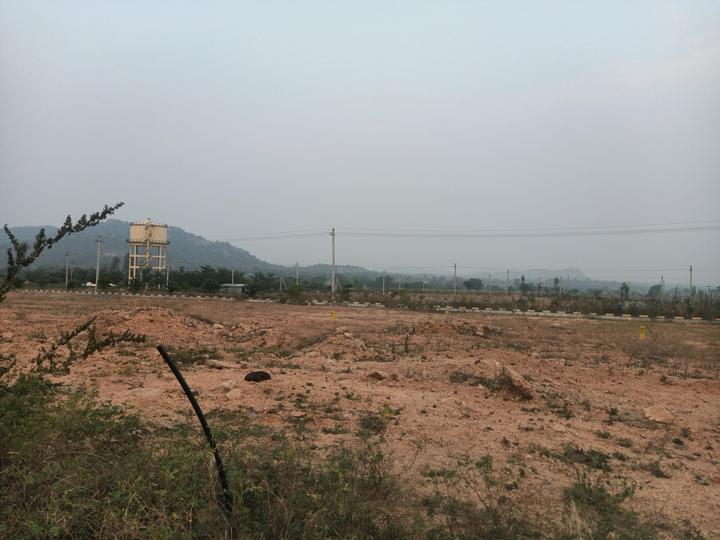 Fortune Smart 5 Main Image 1