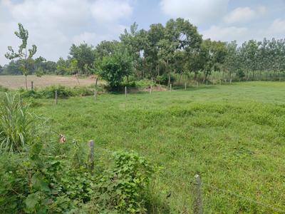 Image of 300 Sq.ft Residential Plot / Land for sale in XU III, Greater Noida for Rs. 31500000