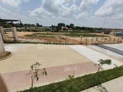 Brigade Oasis Main Image 1