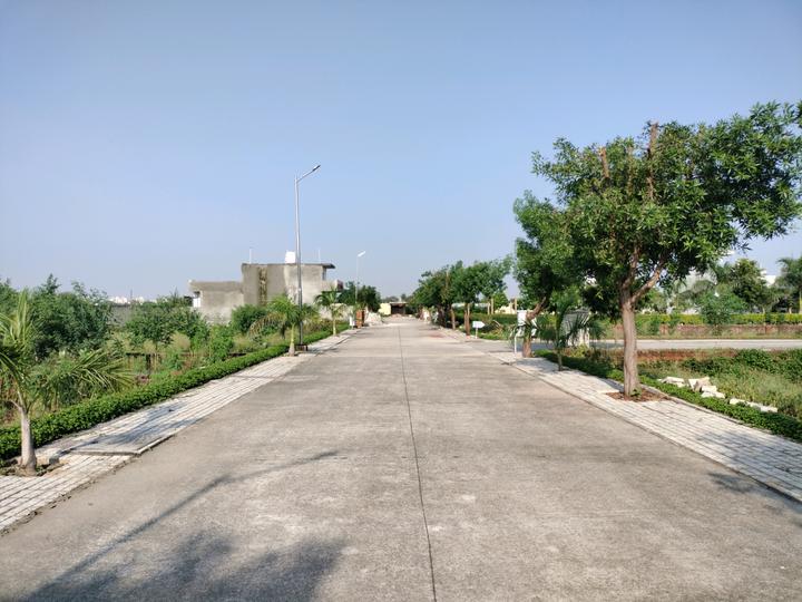 Soha Neal City Main Image 1