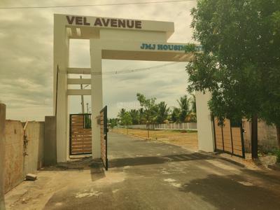 Annur Plot View 1