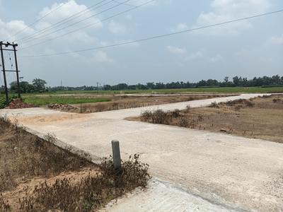 Dhaniakhali Plot View 2
