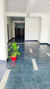 Image of RR PG Coliving sec -130 noida in Sector 130, Noida