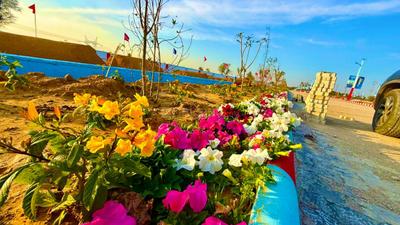 Image of 100 Sq.ft Residential Plot / Land for sale in Jharna, Jaipur for Rs. 1380000
