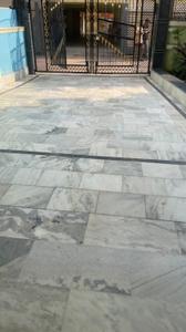 Image of 1750 Sq.ft 3 BHK Independent House for rent in Gola Road, Patna for Rs. 17500