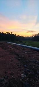 Image of 2178 Sq.ft Residential Plot / Land for sale in Kakkanad, Kochi for Rs. 1330000