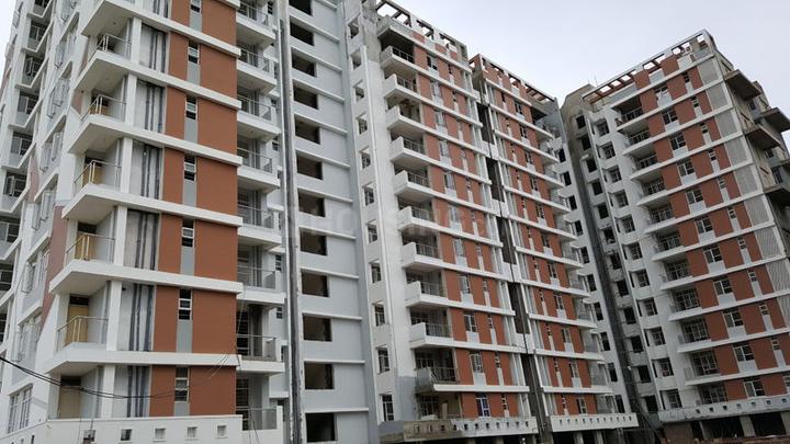 R G Euphoria Main Image 1