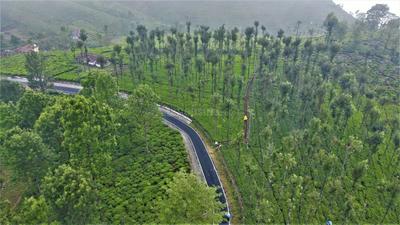 Image of 9147 Sq.ft Residential Plot / Land for sale in Kotagiri, Ooty for Rs. 6195000