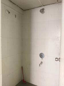 Common Bathroom Image of 584 Sq.ft 1 BHK Apartment / Flat for rent in Lodha Casa Rio, Palava Phase 1 Thane for Rs. 12500