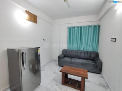 Hall Image of 550 Sq.ft 1 BHK Apartment / Flat for rent in Hoodi Bengaluru for Rs. 24000
