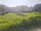 Viveka Nand Gram-Phase-I, Viveka Nand Gram-Phase-I Main Image 1