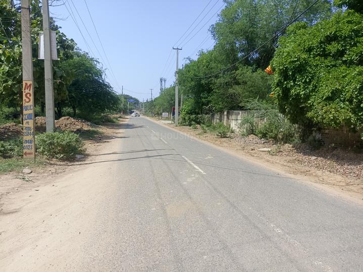 Royal green society Main Image 1