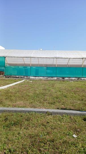 Balawala Main Image 1