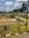 Uttam Shyamashish Park Main Image 1