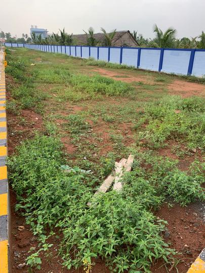 Vellanaipatti Main Image 1