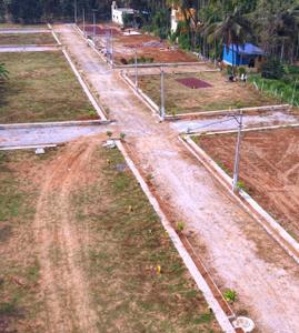 Residential Plot
