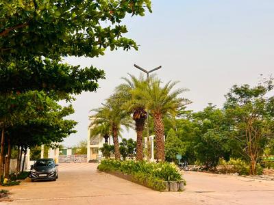 Image of 1200 Sq.ft Residential Plot / Land for sale in Pirda-2, Raipur for Rs. 4380000