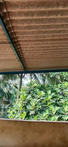 Balcony Image of 950 Sq.ft 2 BHK Independent House for sale in Oras Bk. Sindhudurg for Rs. 4000000