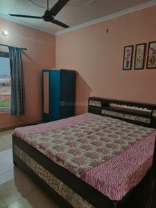 Bedroom Image of 500 Sq.ft 1 BHK Builder Floor for rent in Gayatri Villa, Jainagar Rudrapur for Rs. 10000
