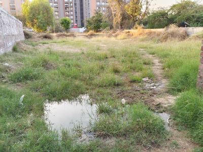 Shela Plot View 1