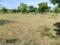 Greenfield Nachatra Garden Main Image 1