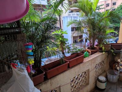 Balcony Image of 1100 Sq.ft 2 BHK Apartment / Flat for sale in Kondhwa Pune for Rs. 3400000