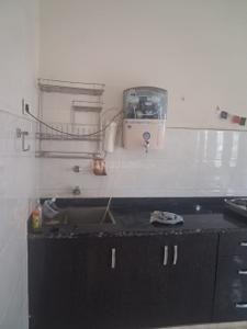 Kitchen Image of 550 Sq.ft 1 BHK Independent House for rent in Model Town Panipat for Rs. 11500