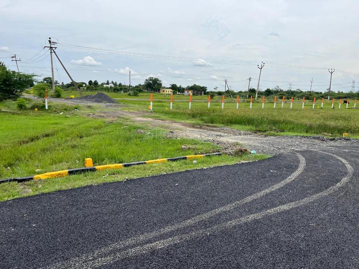 Antony Avenue Main Image 1