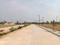 Century Nature City Internal Roads 1