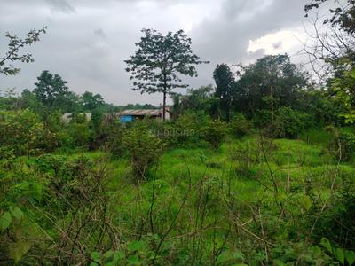 Image of 108900 Sq.ft Residential Plot / Land for sale in Murbad, Thane for Rs. 12700000