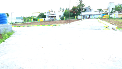Residential Plot
