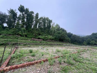 Image of 900 Sq.ft Residential Plot / Land for sale in Thano, Dehradun for Rs. 3000000