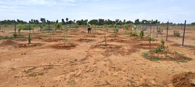 Image of 11104 Sq.ft Residential Plot / Land for sale in Sooriyur, Tiruchirappalli for Rs. 1765377