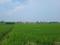 Mohabbat Pur Main Image 1