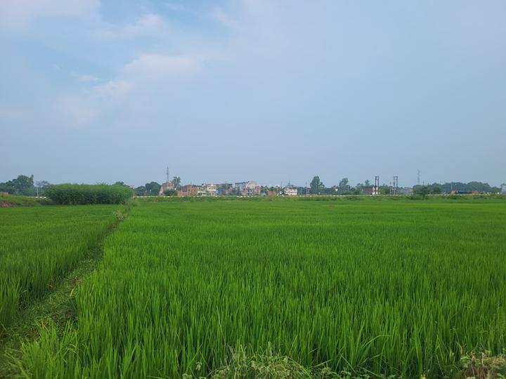 Mohabbat Pur Main Image 1