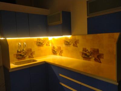 Kitchen Image of 500 Sq.ft 1 BHK Apartment / Flat for rent in Kalani Nagar Indore for Rs. 13000