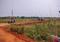 Patrapada Main Image 1