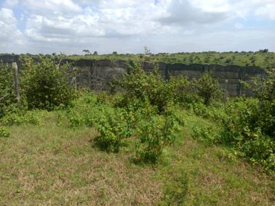 Residential Plot