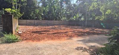 Image of 197 Sq.ft 4 BHK Independent House for sale in Thathampally, Alappuzha for Rs. 2900000