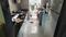 Venture Empress C Wing Kitchen 1