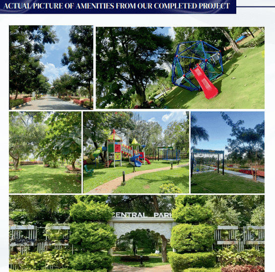 Natures Boulevard Main Image 1