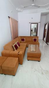 Hall Image of 1100 Sq.ft 2 BHK Apartment / Flat for rent in Morabadi Ranchi for Rs. 20000