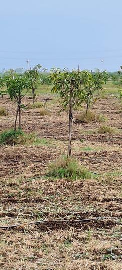Sri Sai Garden Main Image 1