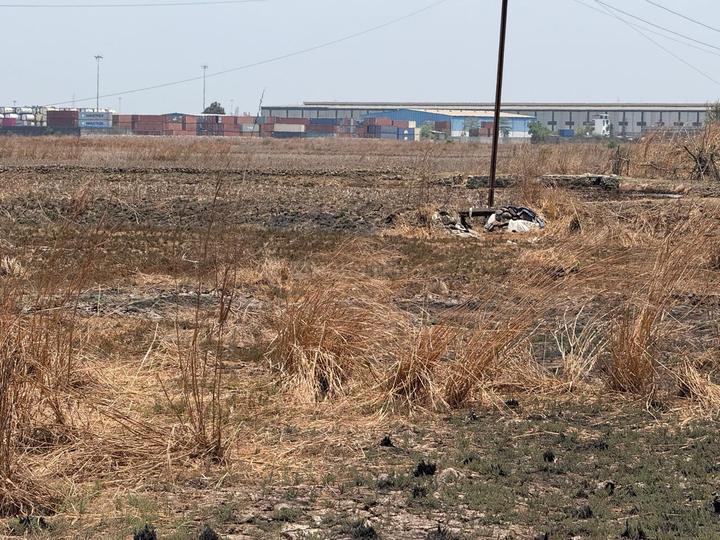 Mahamumbai Plots In Sarde Main Image 1